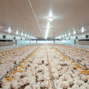 محطة تحلية مياه لمزرعة دواجن